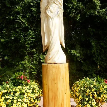 Penzión pre hostí Ilona 3*