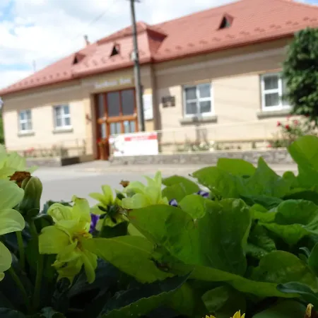 Penzión pre hostí Ilona Velky Kamenec