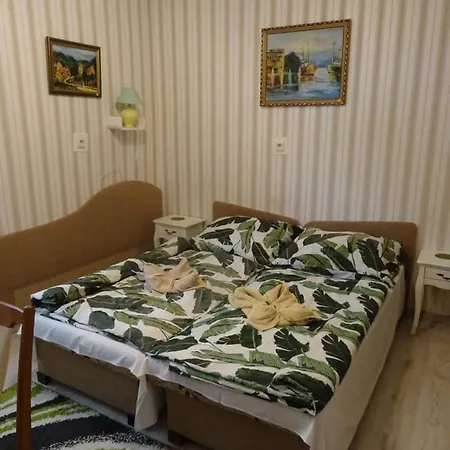 Penzión pre hostí Ilona 3*