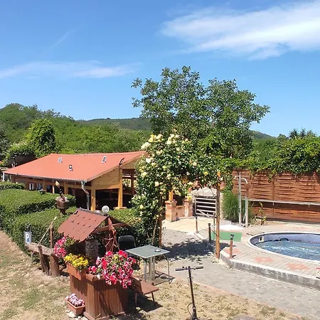 Ilona Guest house
