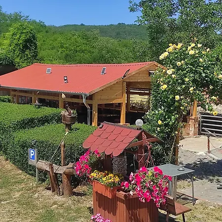 Penzión pre hostí Ilona 3*