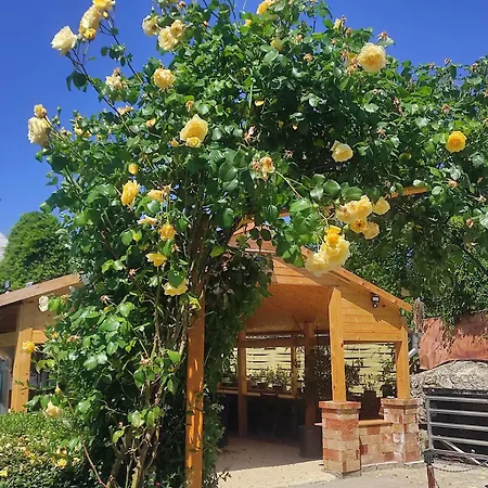 Penzión pre hostí Ilona 3*