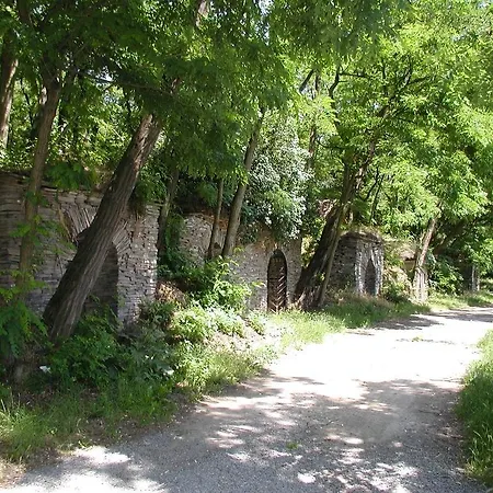 Ilona Guest house *